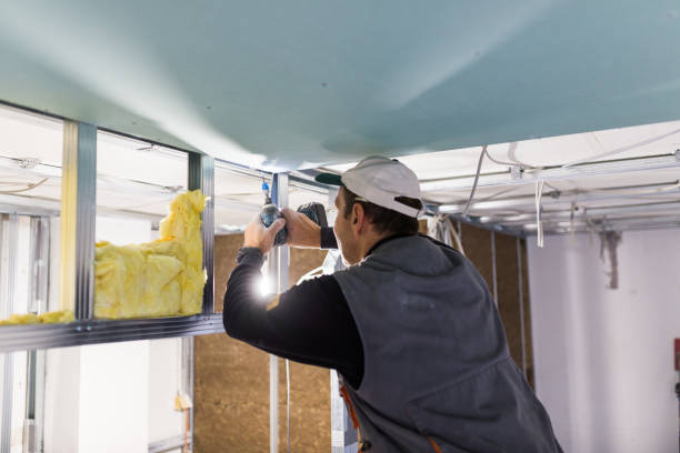 Professional Insulation in Desoto, TX